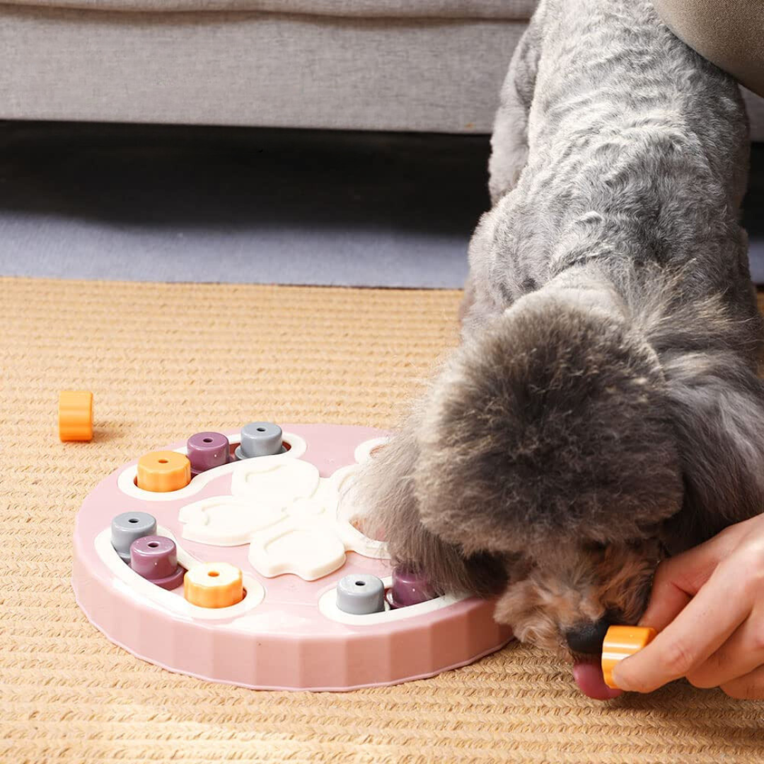 JUEGO INTERACTIVO PARA MASCOTAS