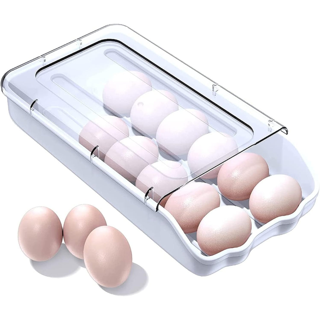 ORGANIZADOR DE HUEVOS