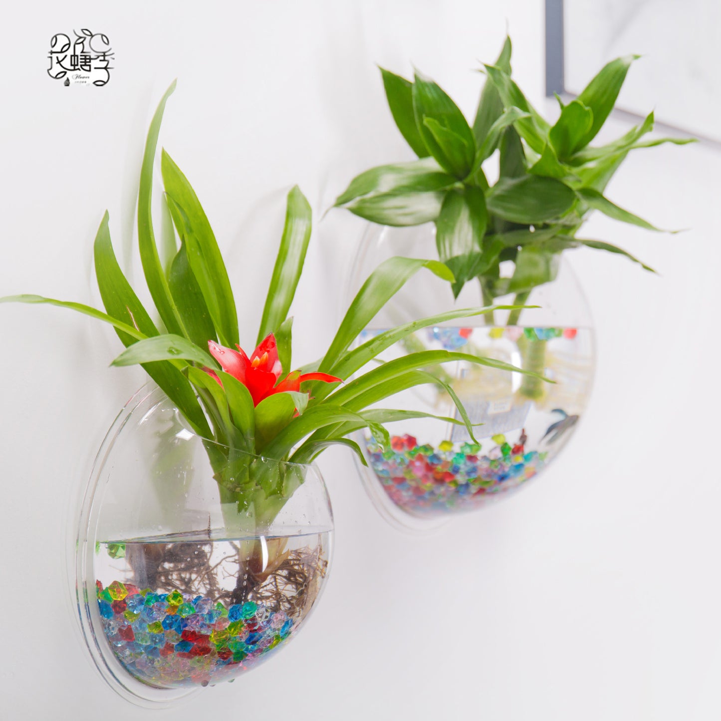 MACETA DECORATRIVA COLGANTE TRASPARENTE