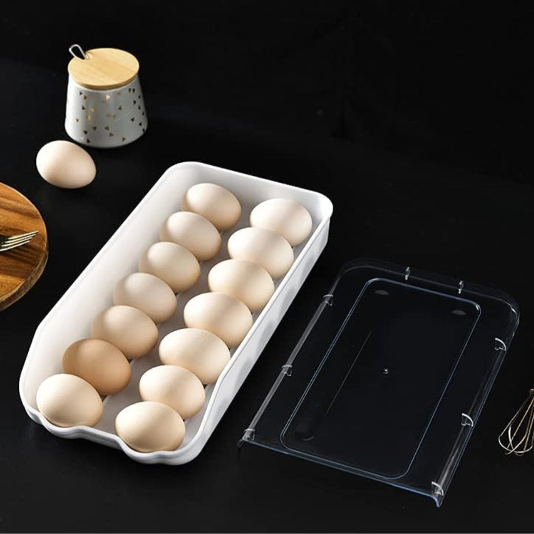 ORGANIZADOR DE HUEVOS