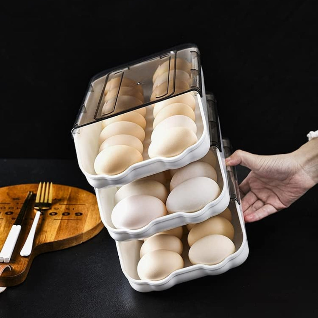 ORGANIZADOR DE HUEVOS