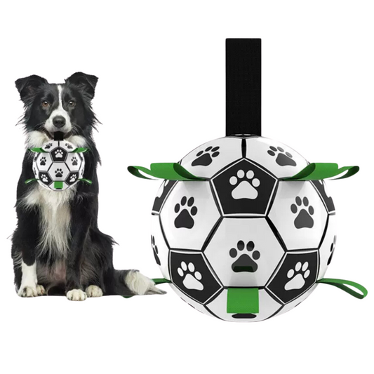 BOLA DE FÚTBOL PARA MASCOTA