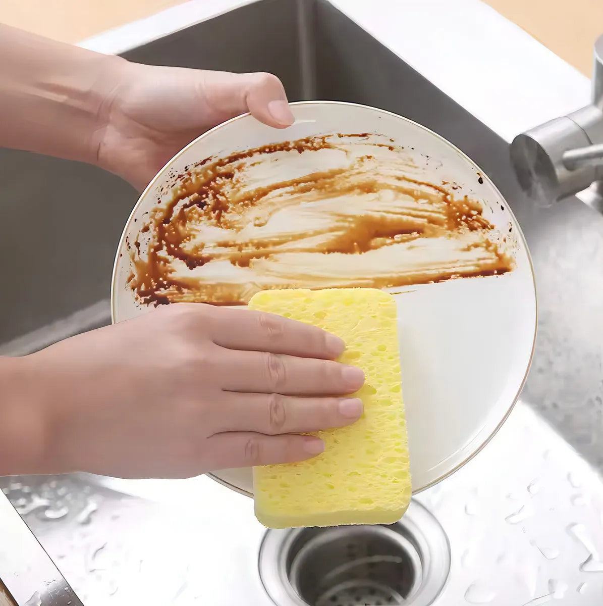 ESPONJA MÁGICA EXPANDIBLE (3PCS)