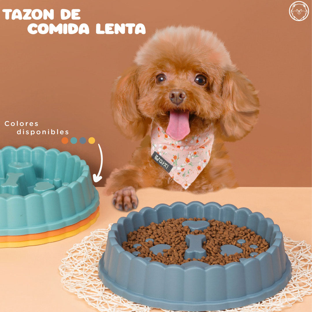 TAZÓN DE COMIDA LENTA
