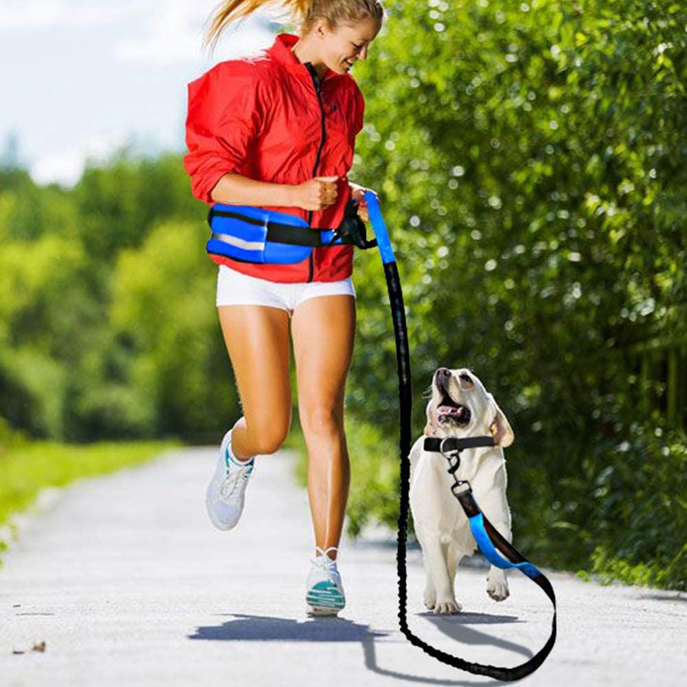 RIÑONERA DEPORTIVA CON CINTURON ELÁSTICO PARA MASCOTAS